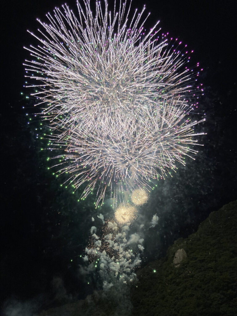 ええなあ祭かわもと