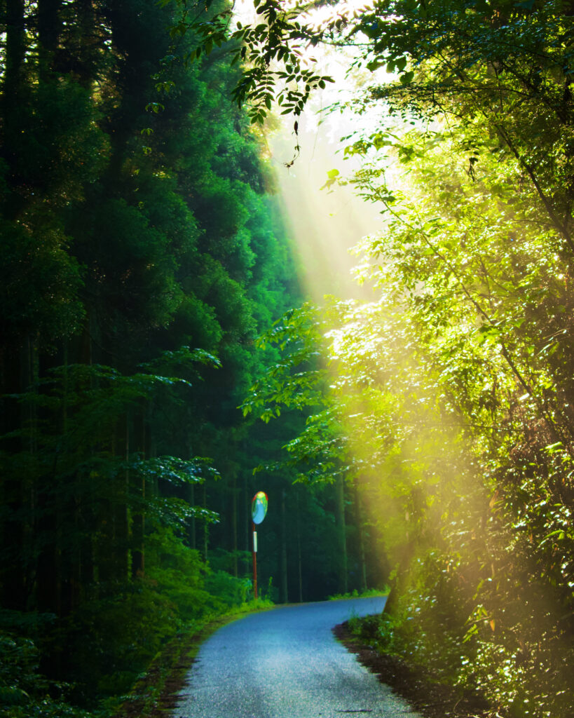 川本町三原　とある町道にて
