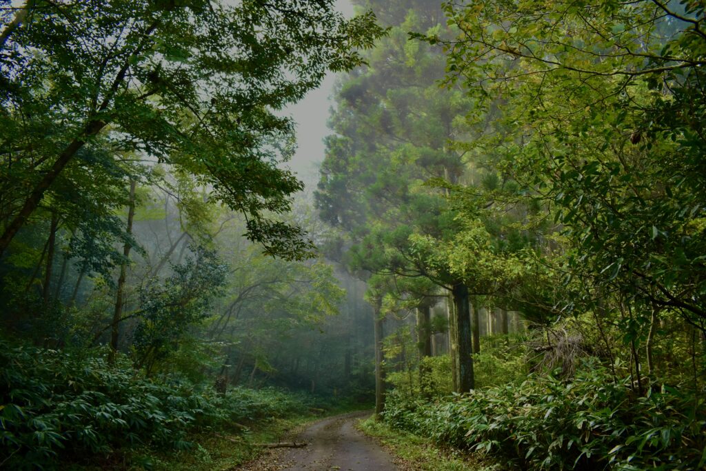 川本町三原　丸山城に続く道