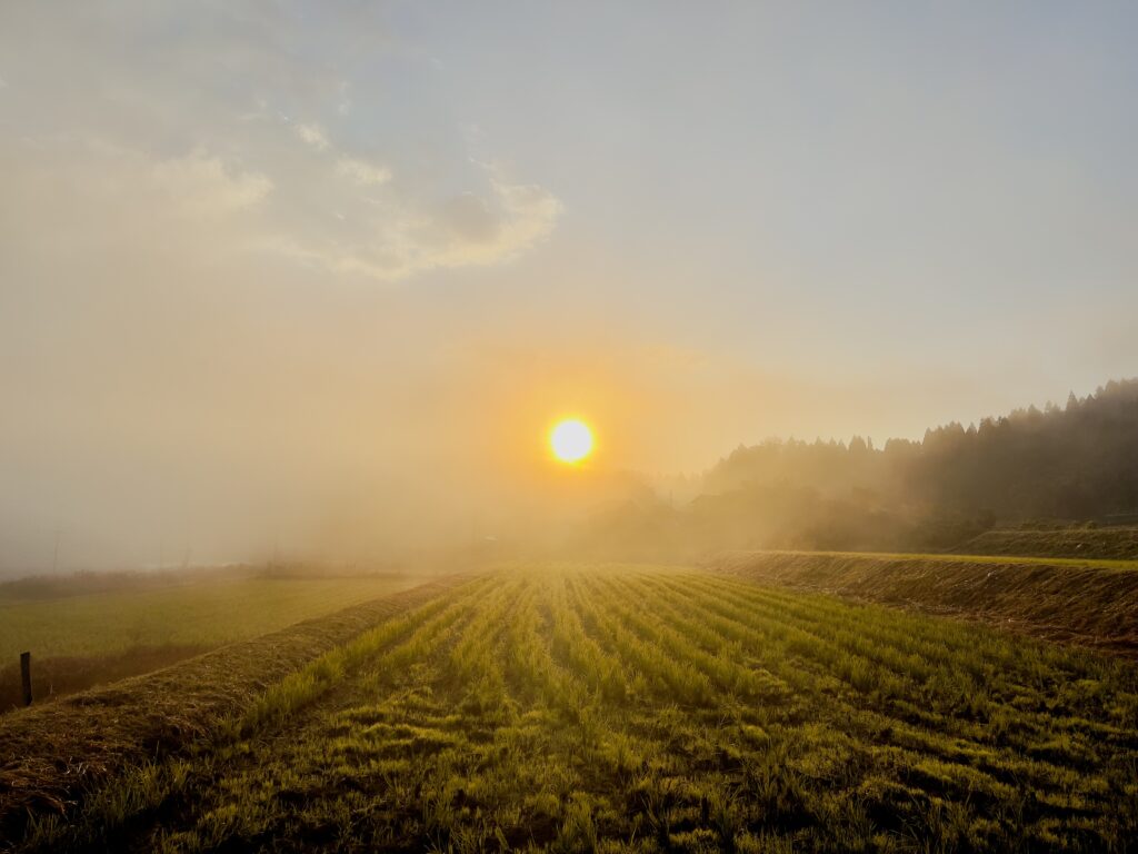 川本町三原　霧景色